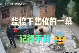 监控下悲催的一幕，刚提的车......视频封面