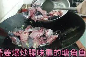 广东式爆炒腥味重的鱼，广东乡下叫埃及，全程不放一滴水炒视频封面