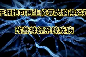 干细胞可再生修复大脑神经元，改善神经系统疾病视频封面