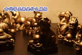揭秘，历代开国帝王的生肖属相大起底视频封面