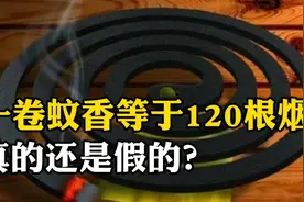 蚊香的正确使用方法，蚊子是被迷晕的吗？