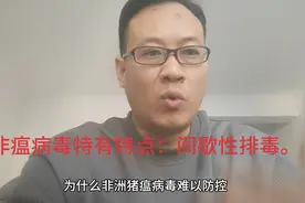 非洲猪瘟为啥难以防控和早起发现？非瘟病毒特有特点：间歇性排毒视频封面