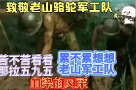 老山战役，地形复杂，运输弹药需要军工肩扛被驮，最终取得胜利视频封面