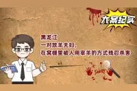 黑龙江一对放羊夫妇，在窝棚里被人用宰羊的方式残忍杀害视频封面