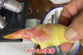 为什么吃姜芽视频封面