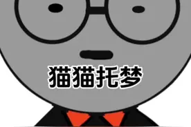 猫猫托梦视频封面