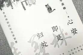 《心安即是归处》系列二视频封面