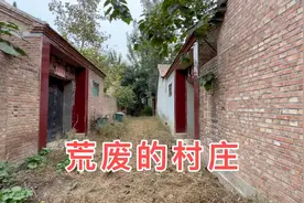 山东一个荒废的村庄，8户人家7户搬走，到处一片荒凉视频封面