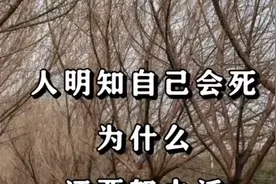 人明明知道自己会死，为什么还要活着？