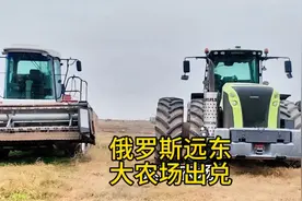 俄罗斯远东乌苏里附近大农场，对外出兑，可享受俄罗斯政策补贴。视频封面