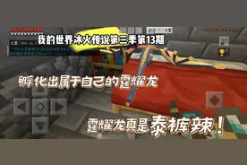 我的世界冰火传说13：在龙域收集完毕三种杂交龙蛋，孵化霆耀龙