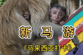 世界这么大总想看一看！美不美你说了算！视频封面