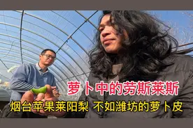 开车几千公里来到山东潍坊，听说潍坊萝卜很出名，小伙去一探究竟视频封面
