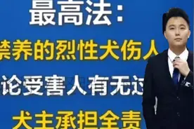 闹大了!最高法颁布新规，禁养烈性犬，一旦伤人咬人，狗主人全责视频封面