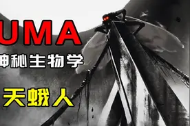 【UMA系列】CCTV-10的童年阴影！天蛾人事件究竟是怎么回事？视频封面