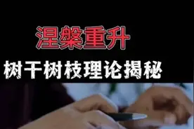 涅槃重升树式心法解析#游资心法  #游资语录  #短线 #交易视频封面