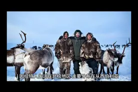 因纽特人的生活：一种独特的北极生活方式视频封面