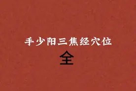 杨甲三针灸三焦经视频封面