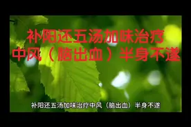 补阳还五汤加味治疗中风（脑出血）半身不遂视频封面