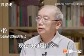 王小鲁：居民消费只占GDP的38%，恢复和扩大消费该如何落实？视频封面