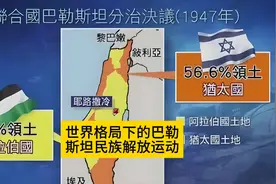 世界格局下的巴勒斯坦🇵🇸民族解放运动视频封面