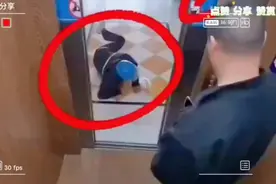 外卖小哥爬进电梯后视频封面