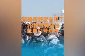 胡塞武装的反击来了！！视频封面