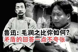 鲁迅问茅盾：毛润之比你如何？茅盾的回答一点都不夸张！视频封面