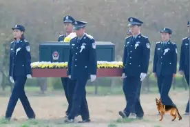 一级功勋犬“天狼”入葬仪式，警察敬礼默哀，警犬长吠相送视频封面