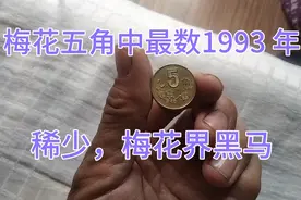 梅花五角中最数1993 年稀少，梅花界黑马视频封面