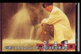 刘德华个人简历视频封面