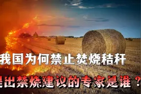 我国为什么要禁止焚烧秸秆，第一个提出禁烧建议的专家是谁？视频封面
