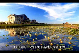 查干湖“洗澡鱼”争议，吉林松原官方回应来了。视频封面