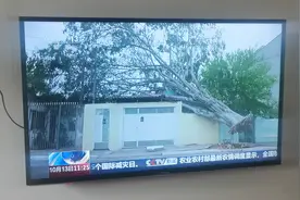 互联网电视 看11:30海峡两岸 重播就用央视频TV版视频封面