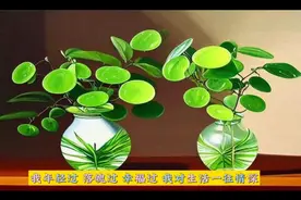 生活很累但值得热爱的正能量句子视频封面