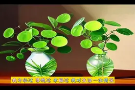 生活很累但值得热爱的正能量句子视频封面