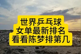 世界乒乓球女单最新排名，看看陈梦排到第几视频封面