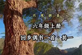 六年级上册 回乡偶书二首·其一 小学必背古诗视频封面