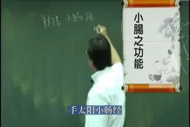 倪师:小肠(第二心脏)的功能视频封面