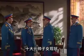 十大元帅子女现状，其中有11位是将军。视频封面