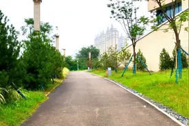 观看历史视频封面