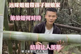 远嫁姐姐带孩子回娘家，弟弟会如何对待，结局让人羡慕视频封面