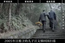 2005年汪文悌回国扫墓，看到汪精卫夫妇跪着的雕像，视频封面
