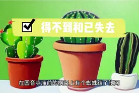 得不到和已失去视频封面