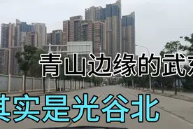武汉青山区的边缘武东是个现代化大都市，人称光谷北视频封面