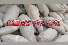 红薯保存小妙招，只需用这两物喷一喷，能保存一年不坏视频封面