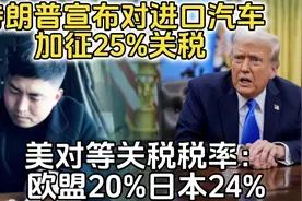 美对等关税税率：欧盟20%日本24%！进口汽车加征25%关税视频封面