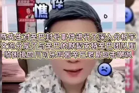 陈先生对辛巴封号分析支持辛选四川可乐叫嚣老葛回击嘲讽视频封面