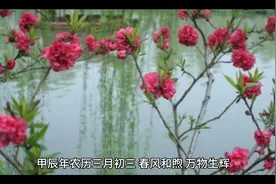 董明珠现身郑州新郑黄帝故里拜祖大典，共祭人文始祖视频封面