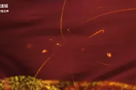 牛玉琴2视频封面